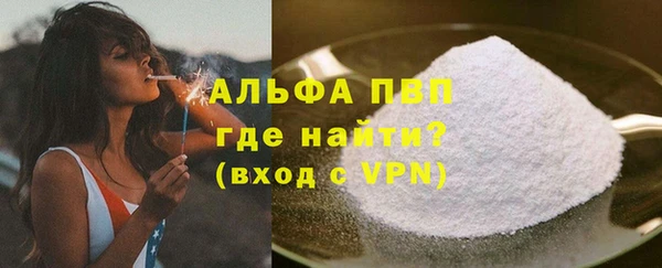 СК Алексин