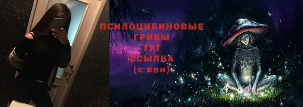 СК Алексин