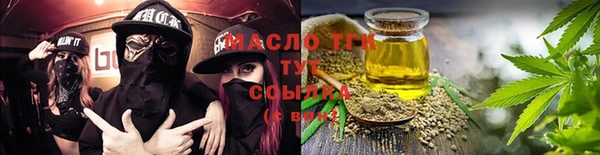 СК Алексин