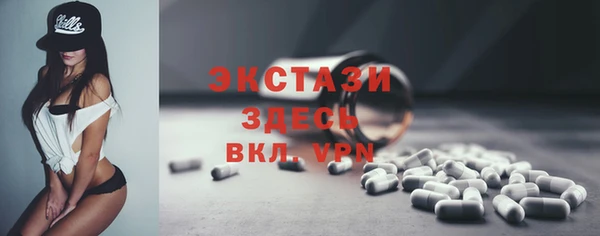 СК Алексин