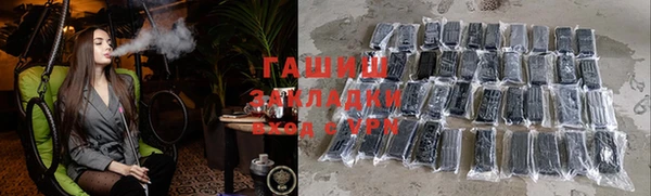 СК Алексин